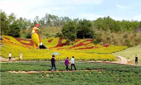 首届荆楚乡村文化旅游节将于9月20日至22日举办