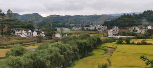 乡村旅游持续升温 带旺乡村带富村民