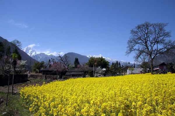  四川旅游 十大最美旅游景点