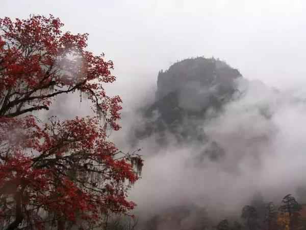  四川赏枫叶最全指南