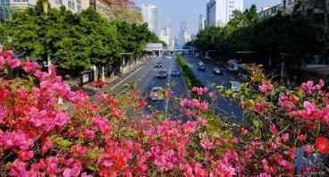 广州天气：广州气温直逼30°C 下周还有冷空气拜访，天气反复小心别感冒