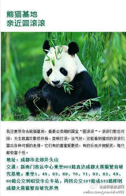 在成都集合，我才不会带游侠们去宽窄巷