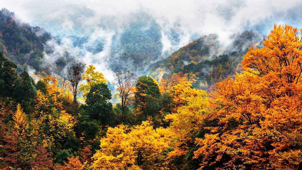  四川赏红叶最佳去处，光雾山2日游攻略