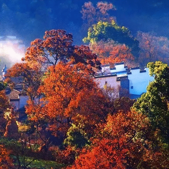 国内旅游景点推荐:塔川的秋天美过九寨沟