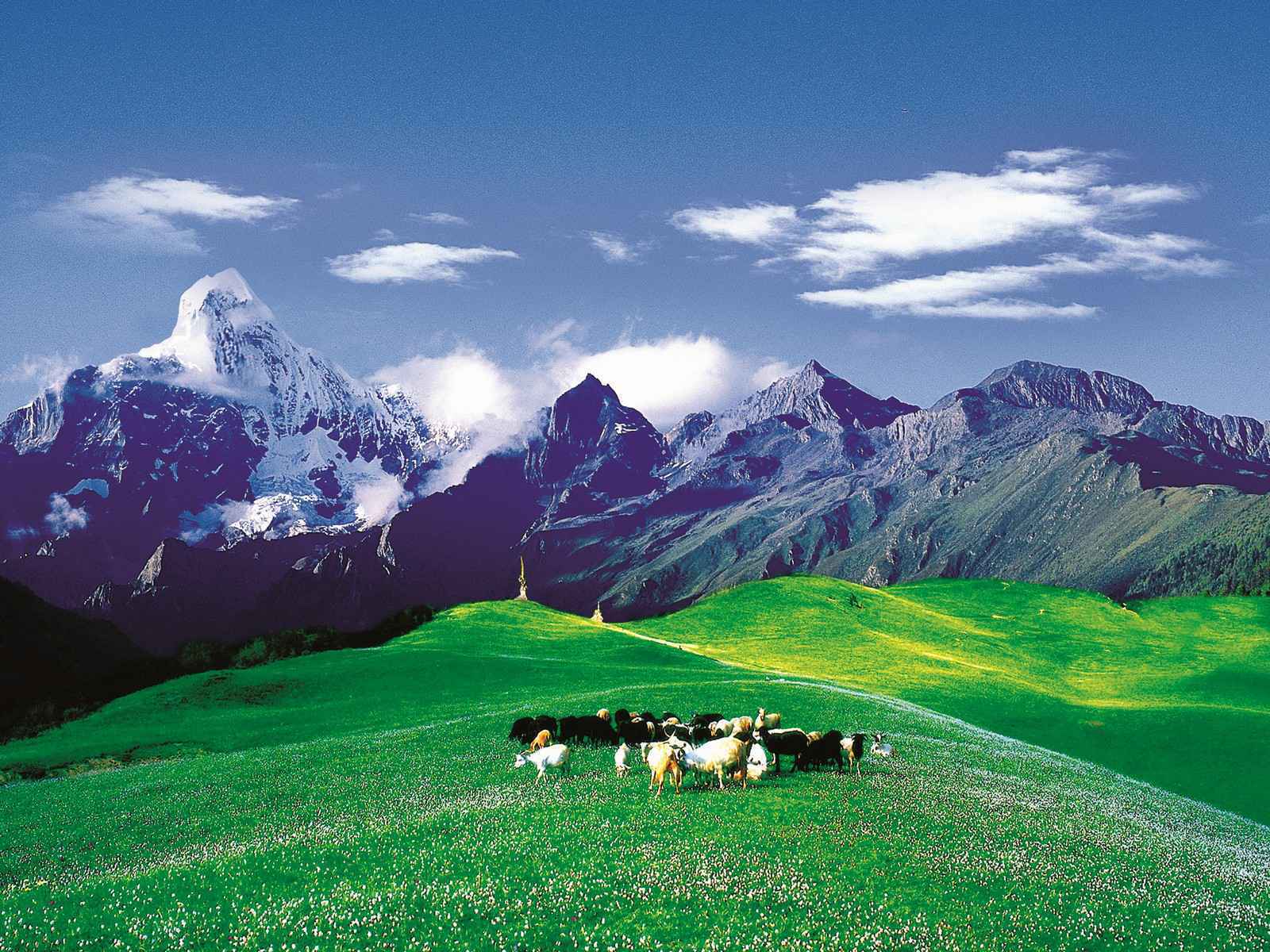 四姑娘山全景-锅庄坪.jpg