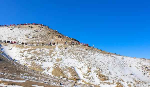 春节去哪里旅游比较好(适合春节旅游的地方推荐)