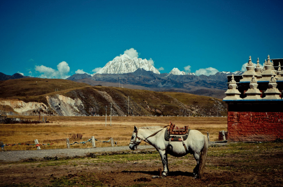  塔公草原在哪里？塔公草原最佳旅游时间