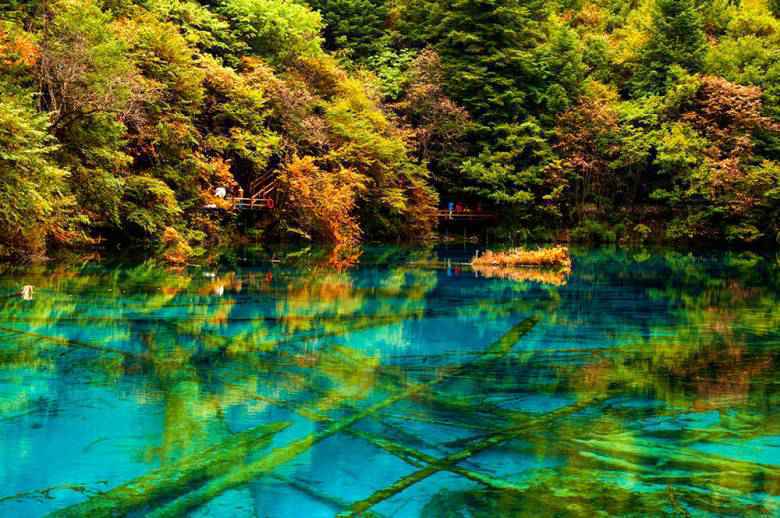 8月去哪里旅游最好_八月份适合去哪旅游_九寨沟