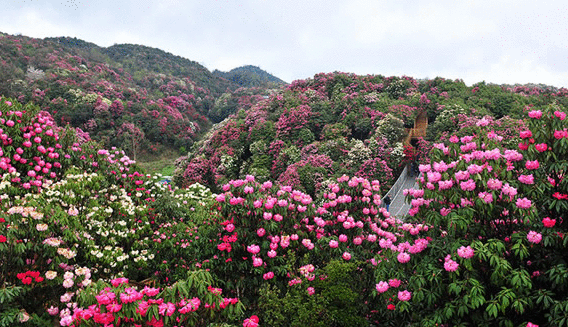 4月份国内旅游景点推荐