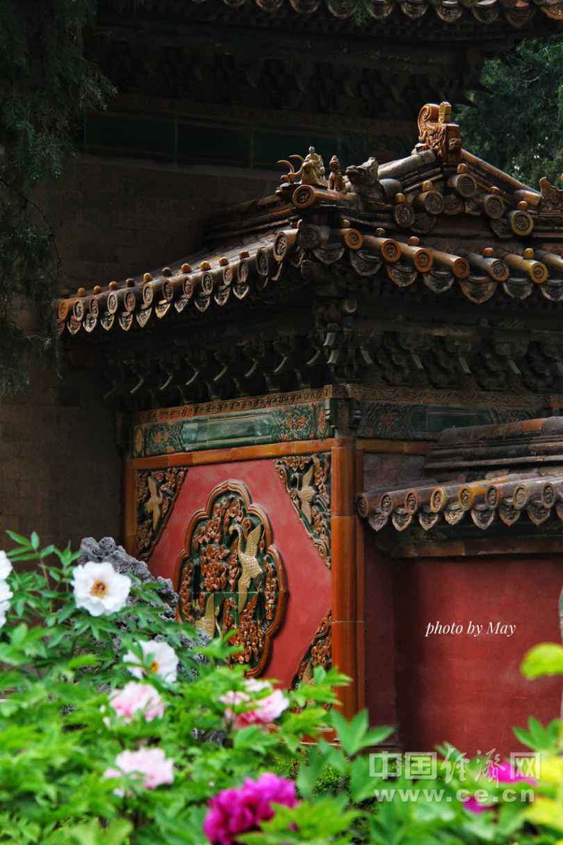 故宫四月 踏春最美紫禁城