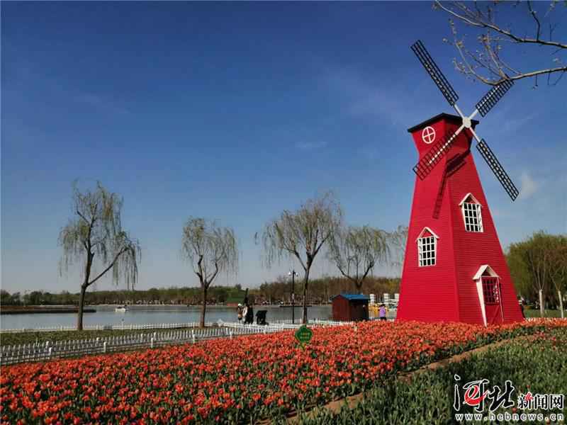 廊坊：四月春花开满城