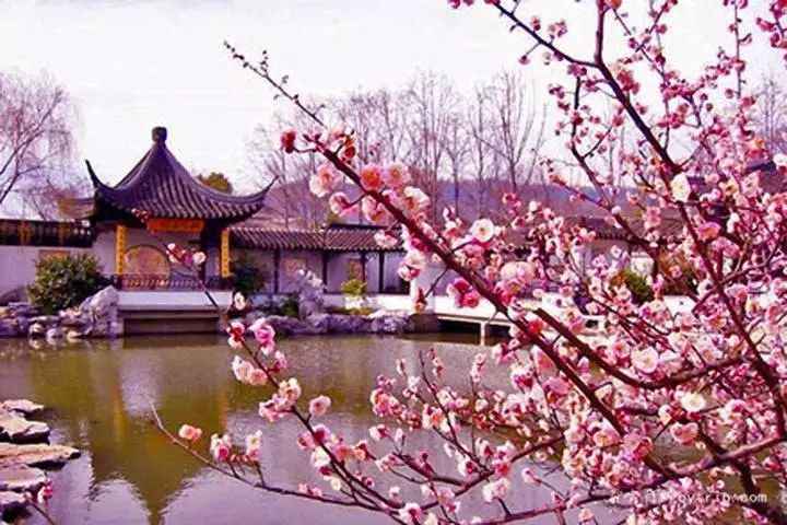 b3acef055801abe92d08674718934bcc.jpg