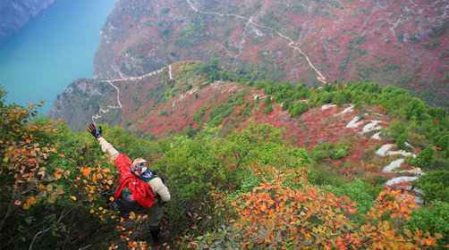 长江三峡红叶几月份开始变红?三峡红叶观赏指南