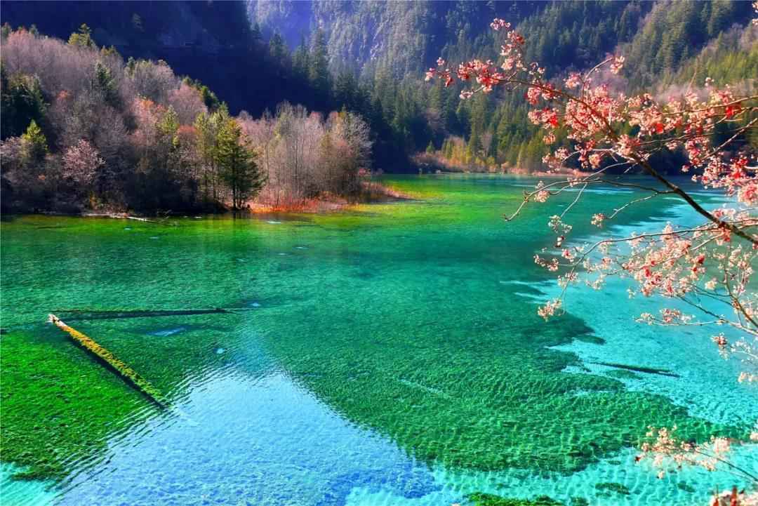 九寨沟的秋天是什么颜色?带你见识最灿烂的九寨