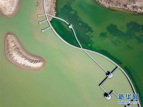 （环境）（3）鸟瞰黄河口湿地风光