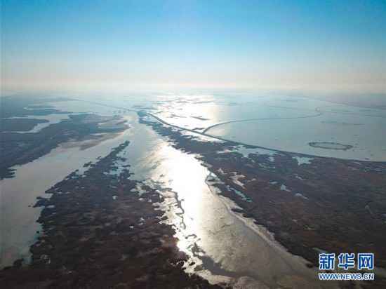 （环境）（2）鸟瞰黄河口湿地风光