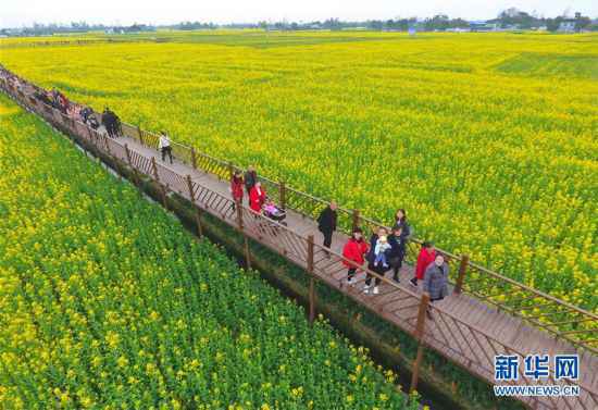 （社会）（4）四川广汉：“以花为媒”发展乡村旅游