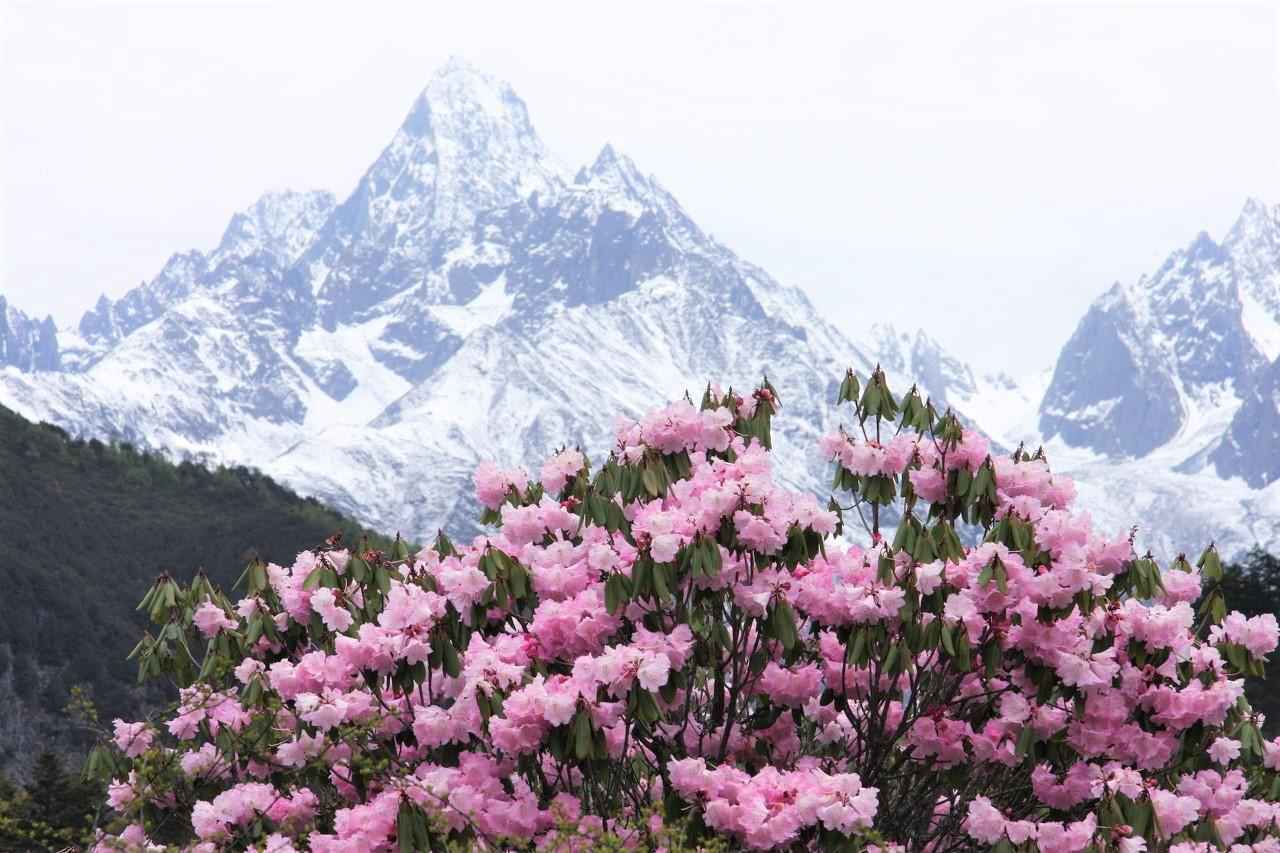 贡嘎雪山在哪里?夏天去体验怎样?