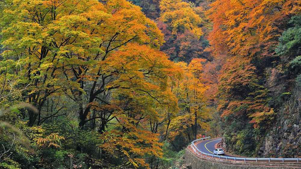  四川巴中光雾山有哪些景点