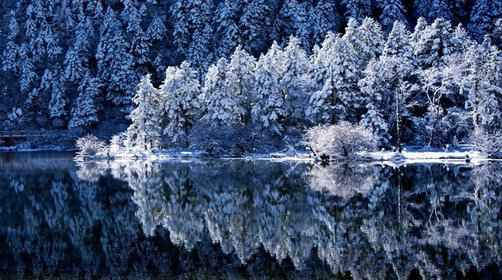  冬天成都去哪玩？不可错过的三大冰雪秘境