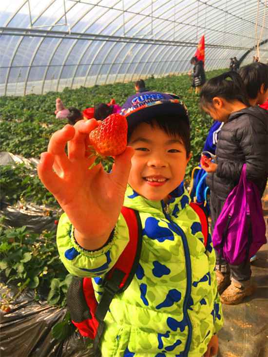  如何能让孩子在旅游中得到良好的教育