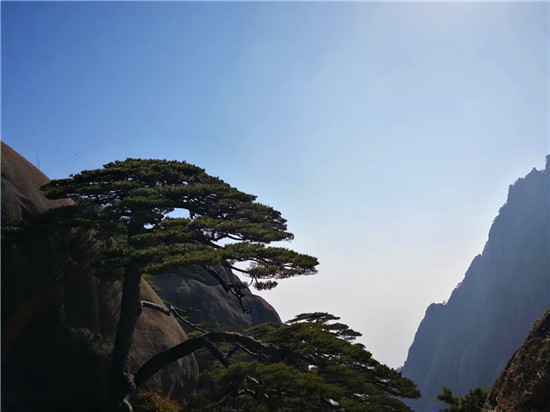  全国多地的旅游市场逐渐恢复