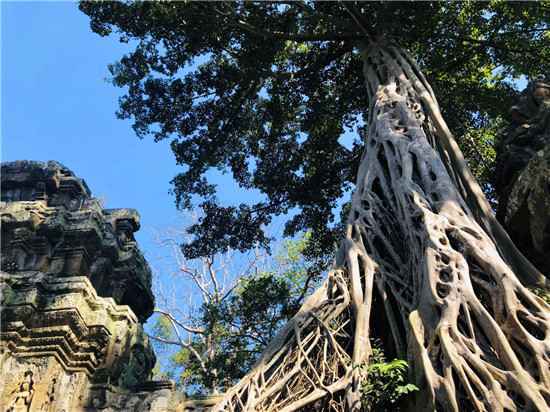  疫情对各国旅游行业的影响