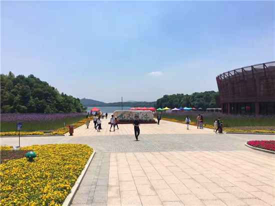  假期去旅游注意事项