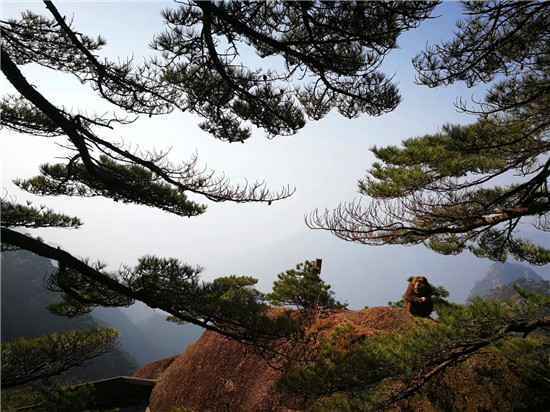  各地对恢复旅游业都在紧锣密鼓的筹备
