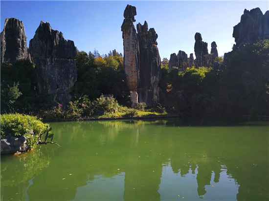  今年去旅游将会是性价比最高的一年