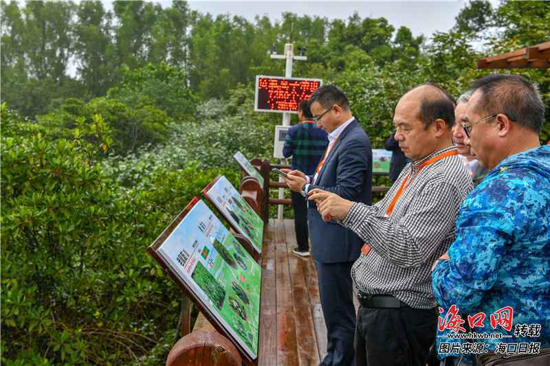来海口五源河湿地公园 邂逅“中国最美小鸟”蓝喉蜂虎