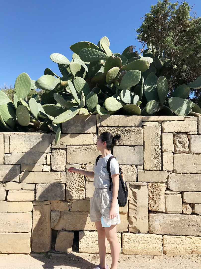 马耳他的碧海蓝天,马耳他旅游攻略