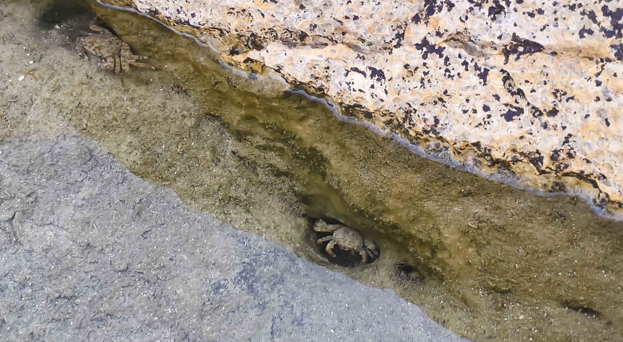 马耳他,马耳他旅游攻略