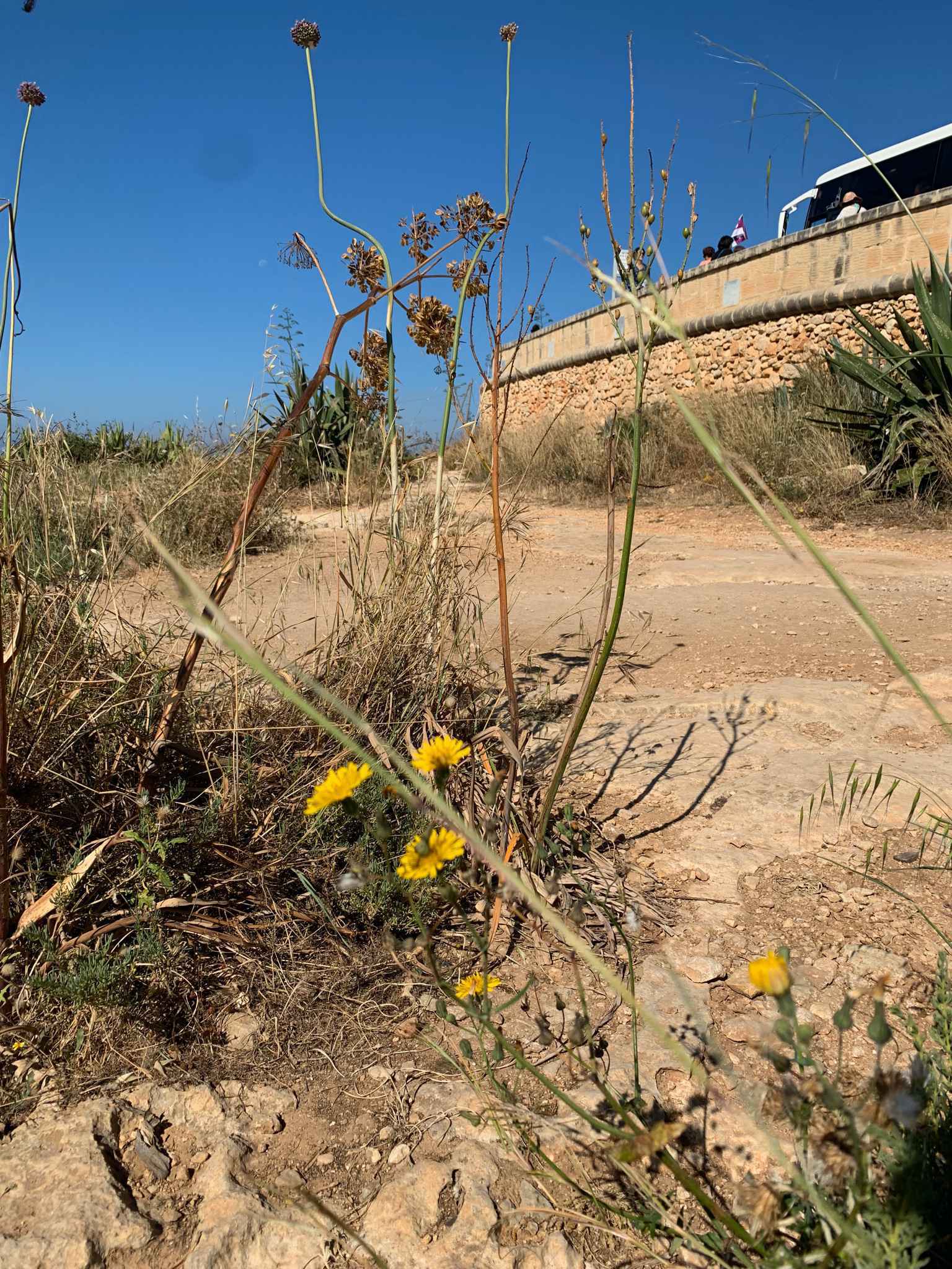 2019 101 环球之旅 Peace boat 99days，day 31（5/24）,马耳