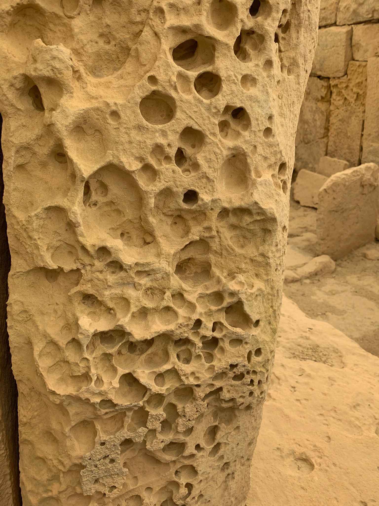 2019 101 环球之旅 Peace boat 99days，day 31（5/24）,马耳