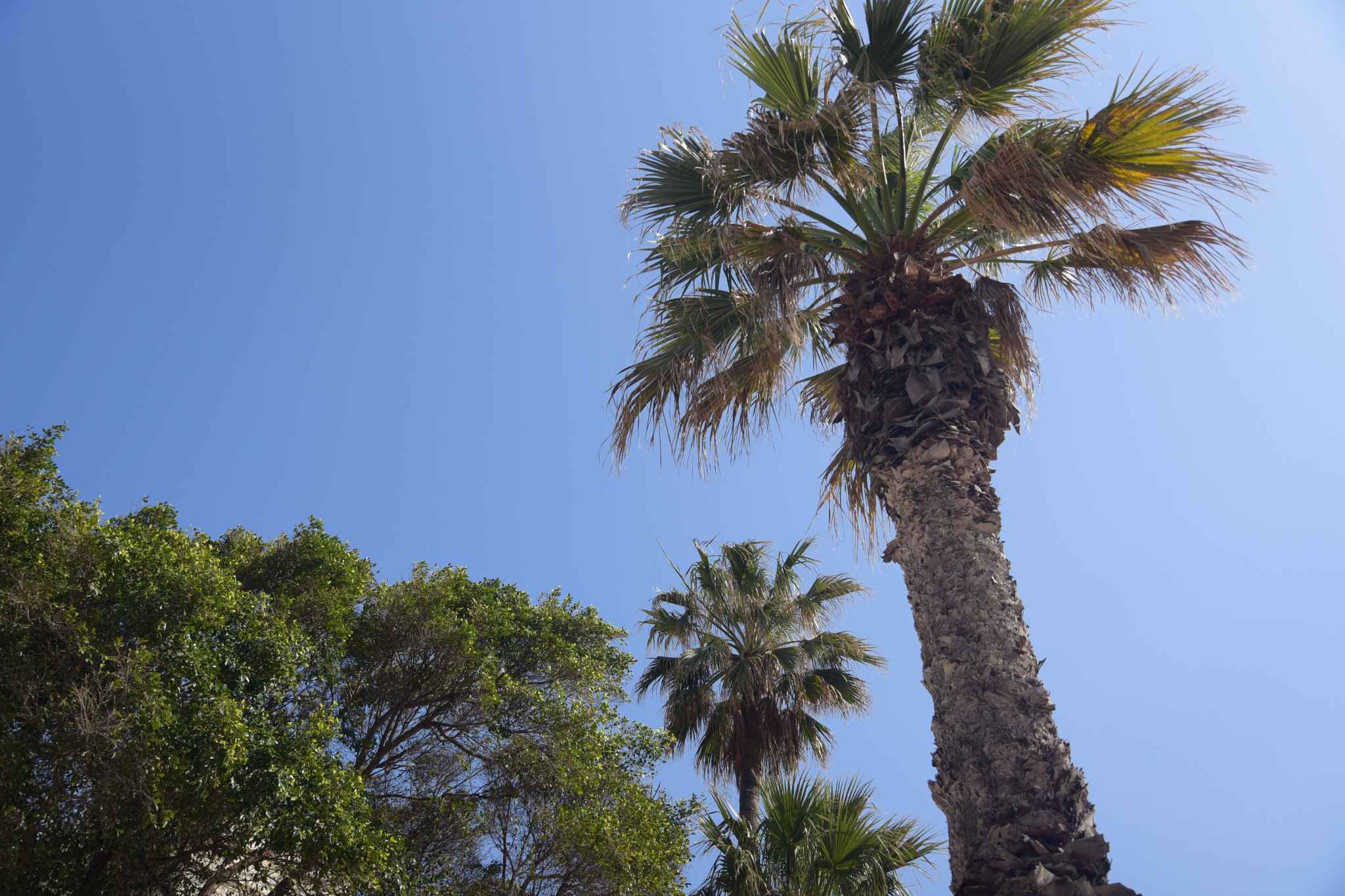 马耳他：二刷gozo岛 故地重游 尽情撒野,马耳他自