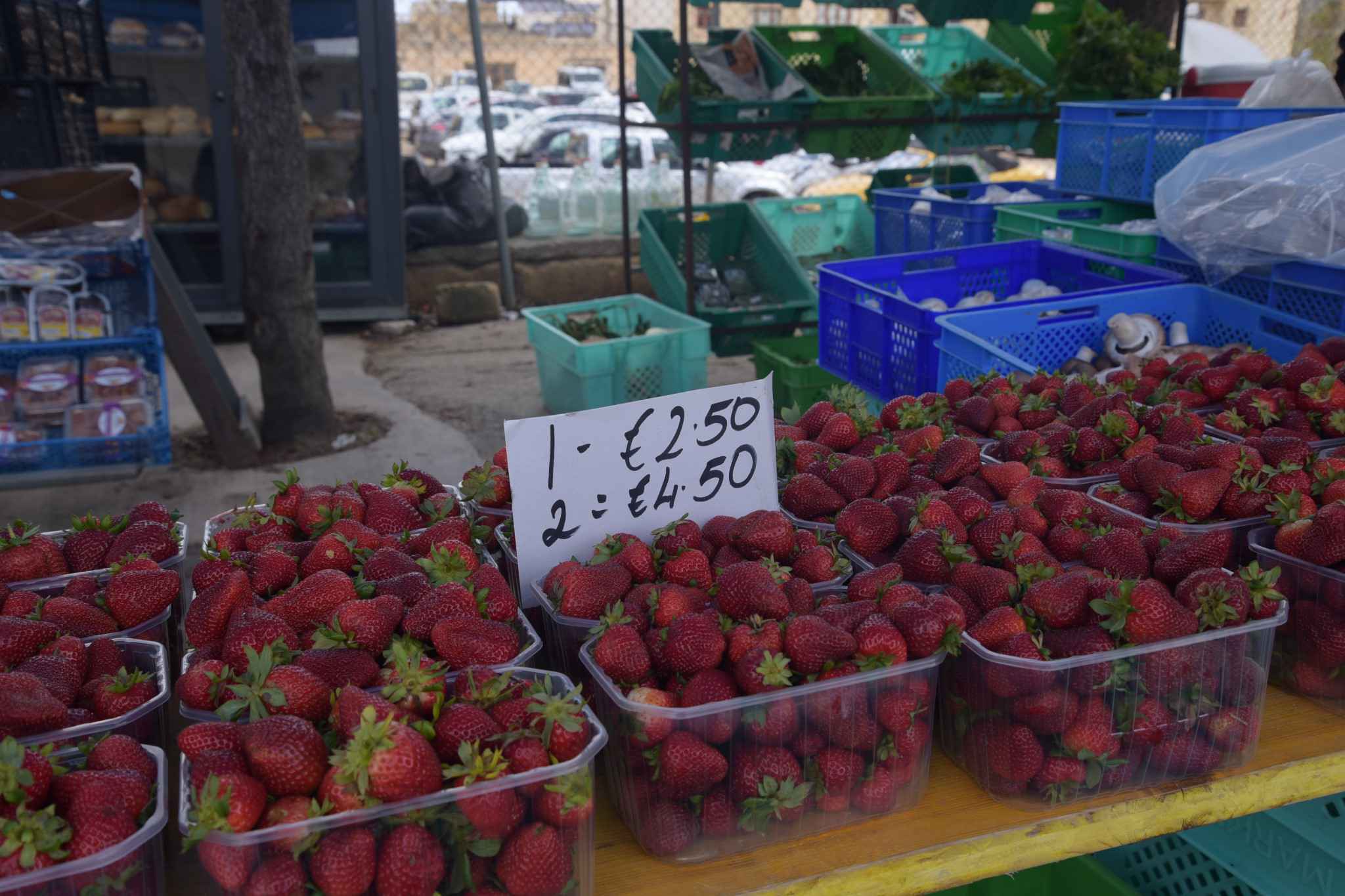 马耳他：二刷gozo岛 故地重游 尽情撒野,马耳他自