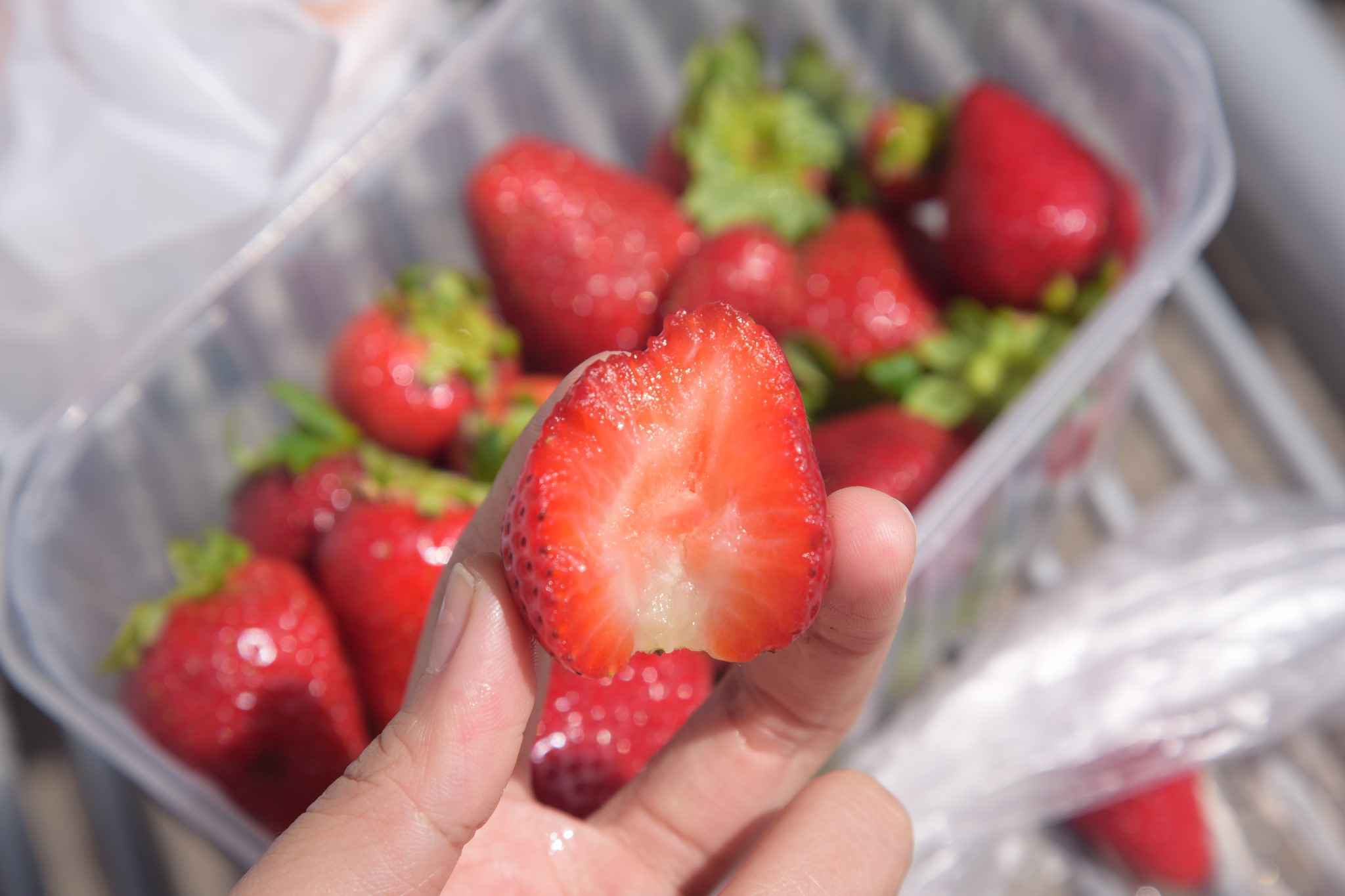 马耳他：二刷gozo岛 故地重游 尽情撒野,马耳他自