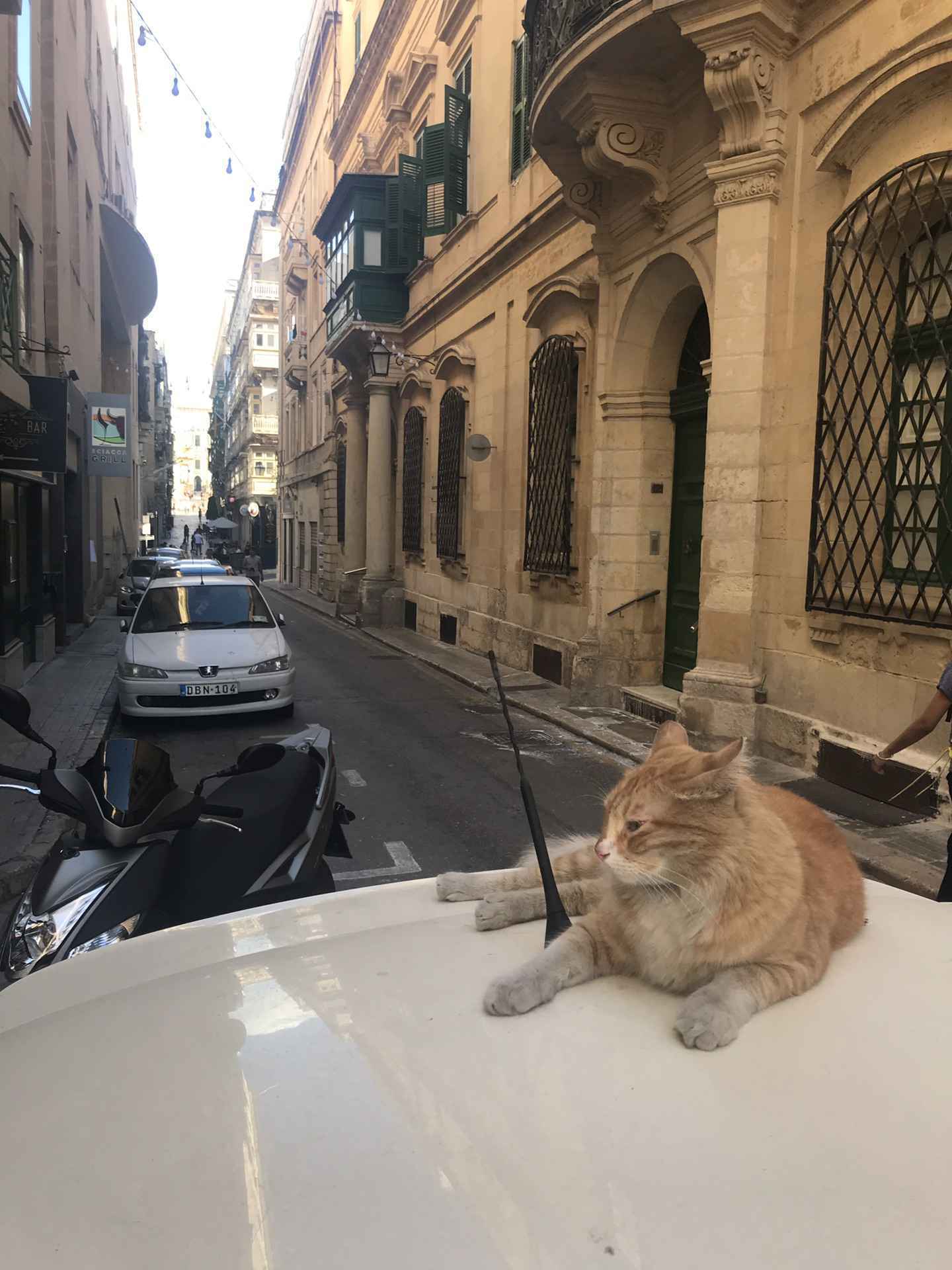 有一种蓝，叫马耳他