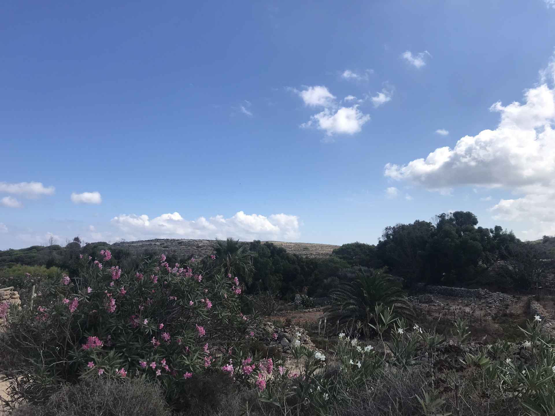 有一种蓝，叫马耳他