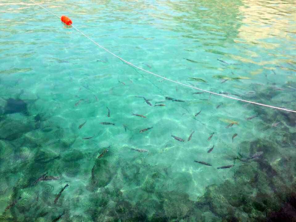 马耳他留学,马耳他旅游攻略