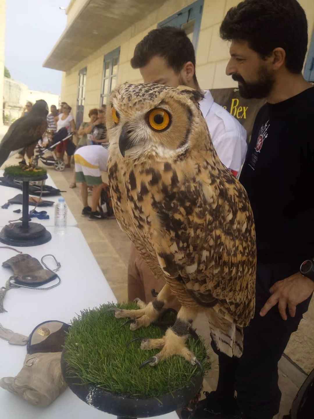 马耳他游学,马耳他旅游攻略