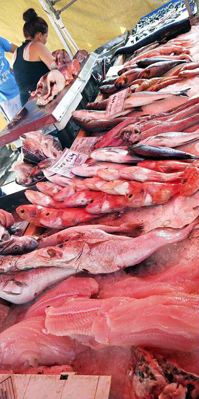 换个“圈子”=换个人生，我的马耳他游学,马耳他