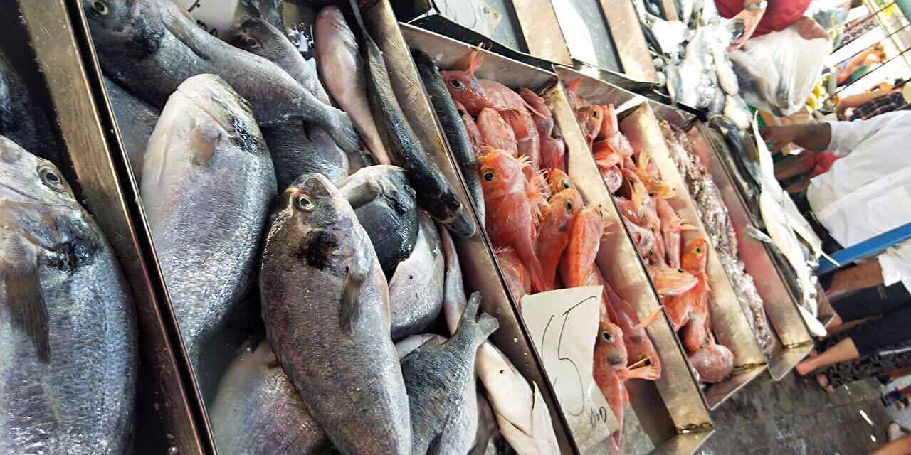 换个“圈子”=换个人生，我的马耳他游学,马耳他