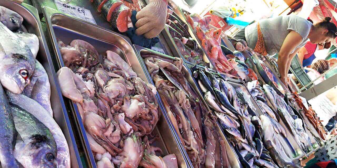 换个“圈子”=换个人生，我的马耳他游学,马耳他