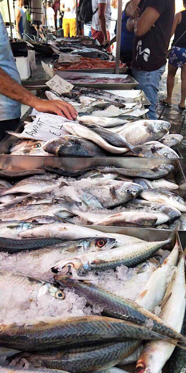 换个“圈子”=换个人生，我的马耳他游学,马耳他