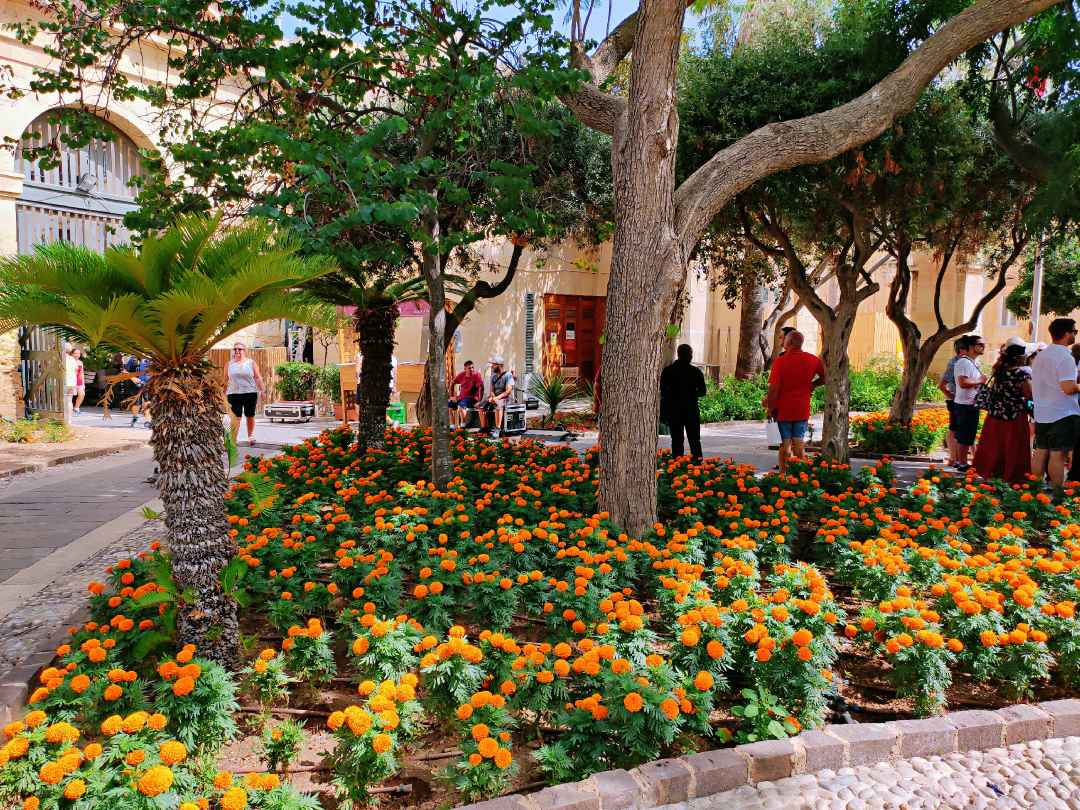 上巴拉卡花园,马耳他旅游攻略