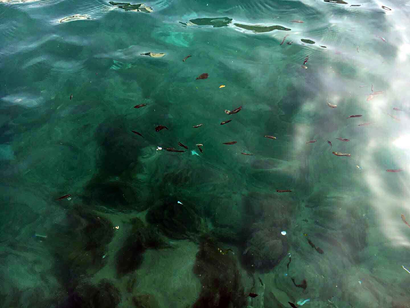 我的马耳他留学,马耳他自助游攻略