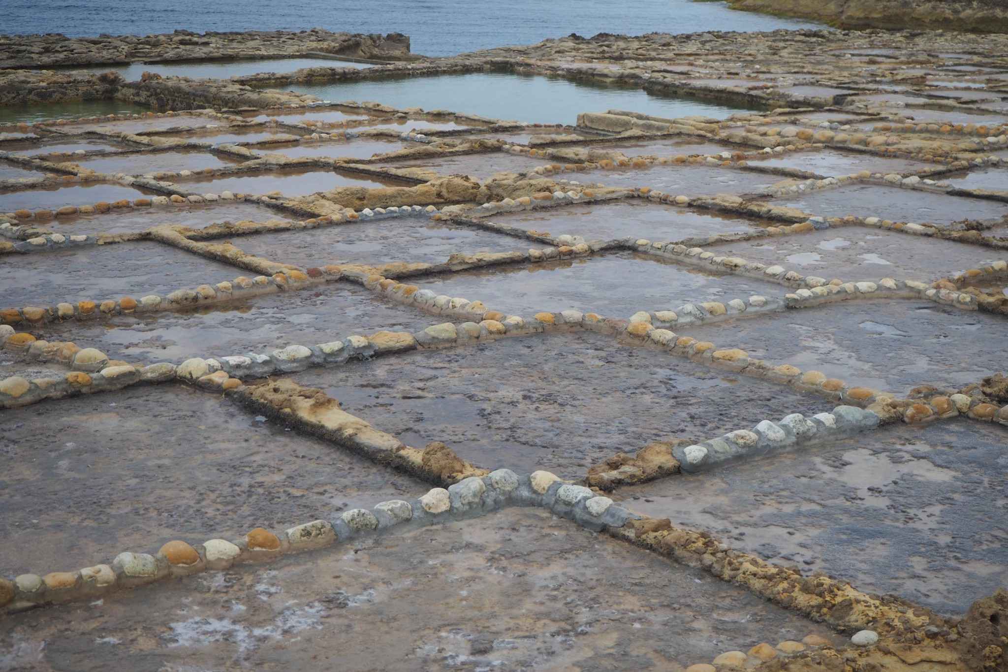 100+张照片带你看遍地中海岛国的蓝，绿，黄,马