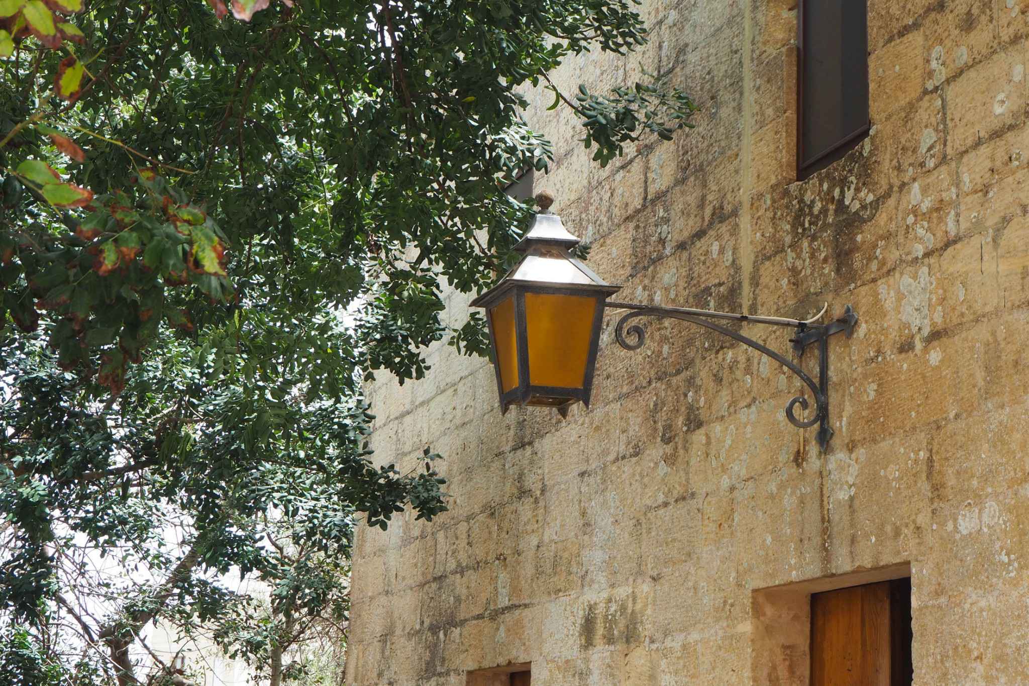 100+张照片带你看遍地中海岛国的蓝，绿，黄,马